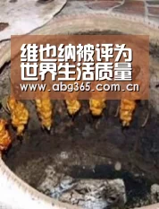 维也纳被评为世界生活质量最高城市 巴格达排名垫底“欧博ABG最新版本”(图1) 欧博游戏