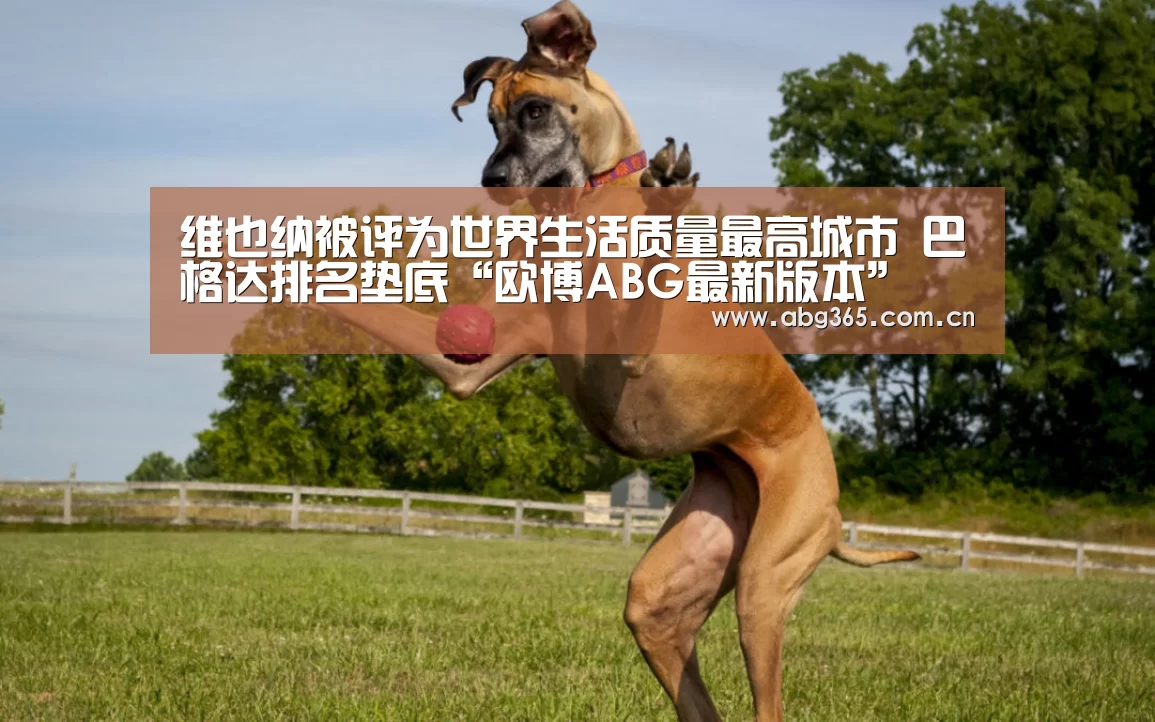 维也纳被评为世界生活质量最高城市 巴格达排名垫底“欧博ABG最新版本”(图4) 欧博ABG最新版本