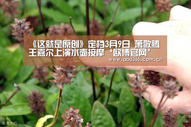 《这就是原创》定档3月9日 萧敬腾王嘉尔上演水壶按摩‘欧博官网’(图2) 欧博ABG最新版本
