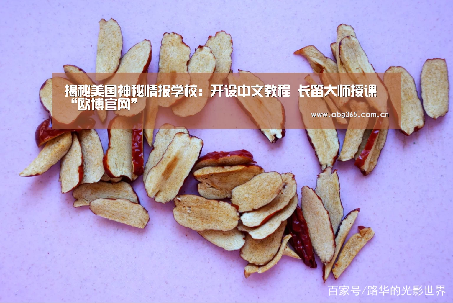揭秘美国神秘情报学校:开设中文教程 长笛大师授课“欧博官网”(图3) 欧博ABG最新版本
