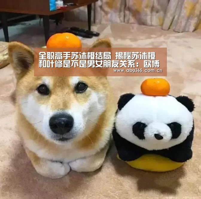 全职高手苏沐橙结局 揭秘苏沐橙和叶修是不是男女朋友关系:欧博游戏(图1) 欧博ABG最新版本